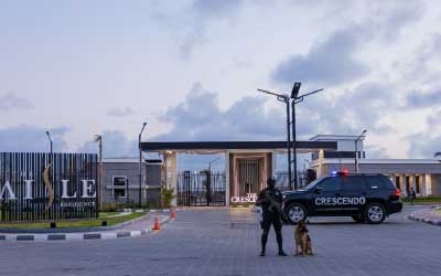 High Level Security System